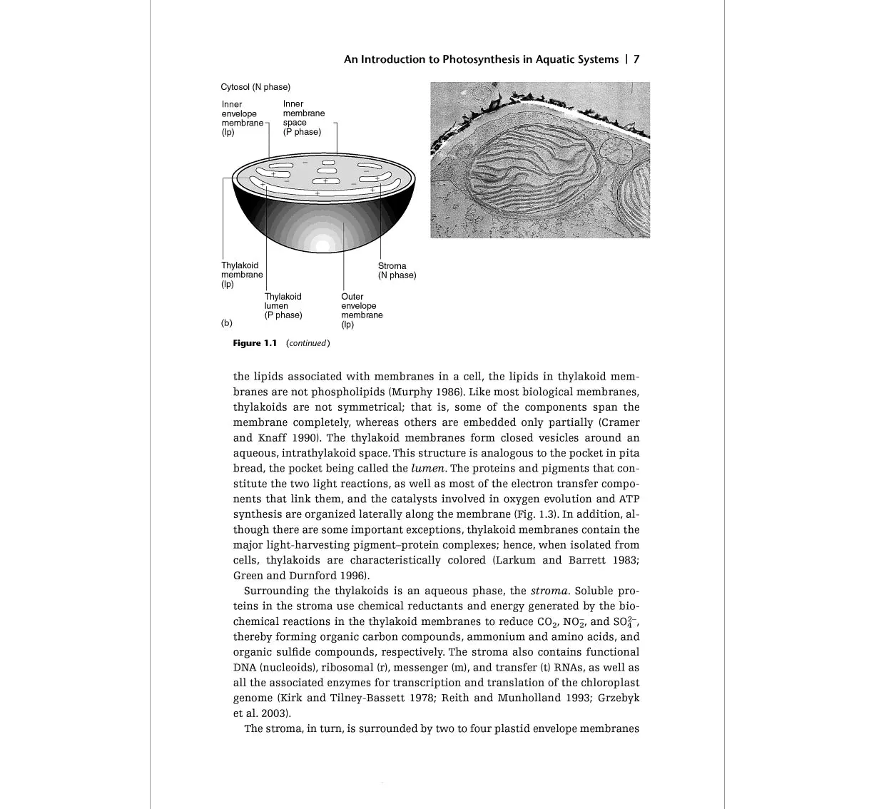 Aquatic Photosynthesis: Second Edition