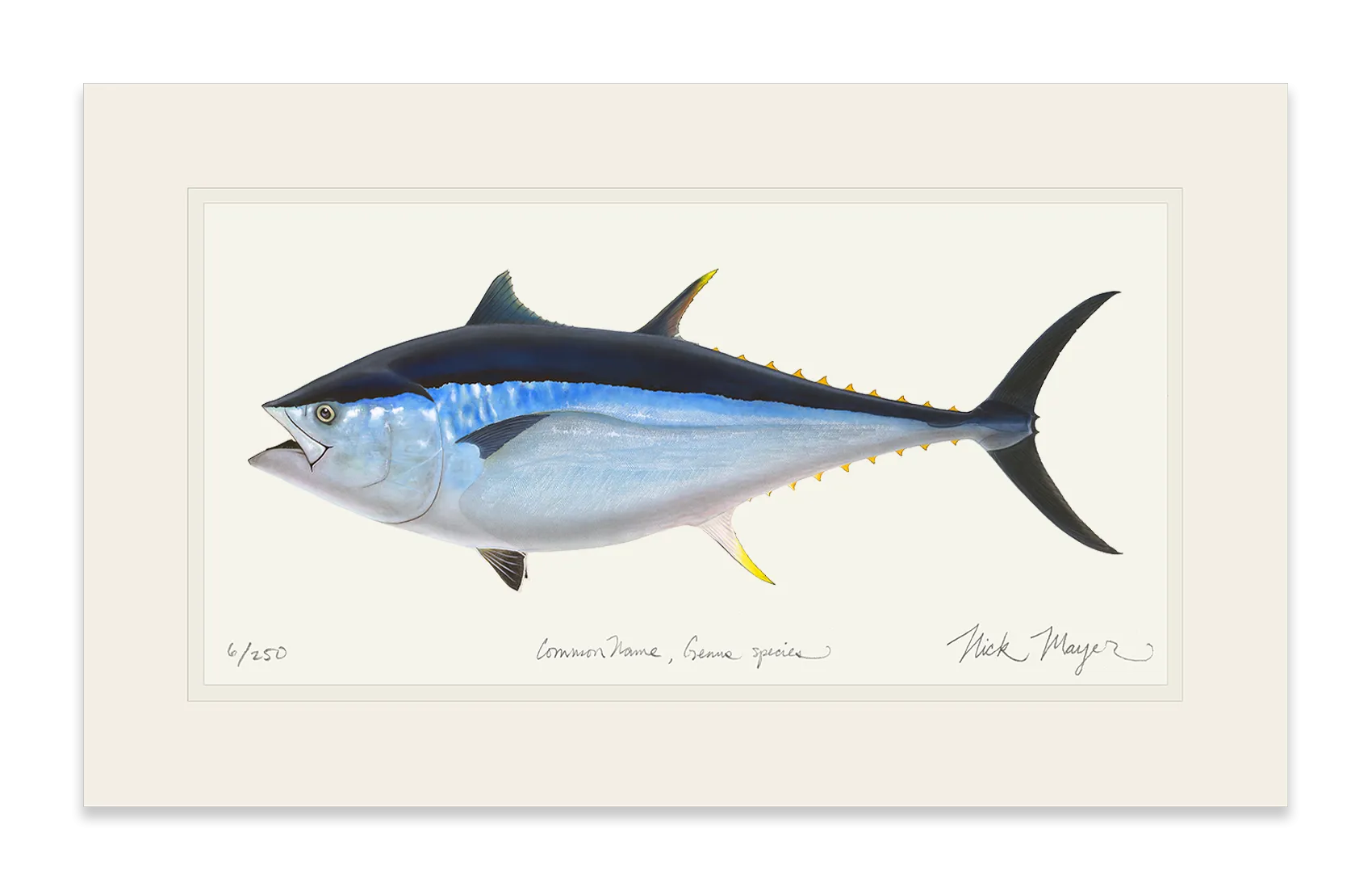 Giant Bluefin Tuna II Print - Best Seller