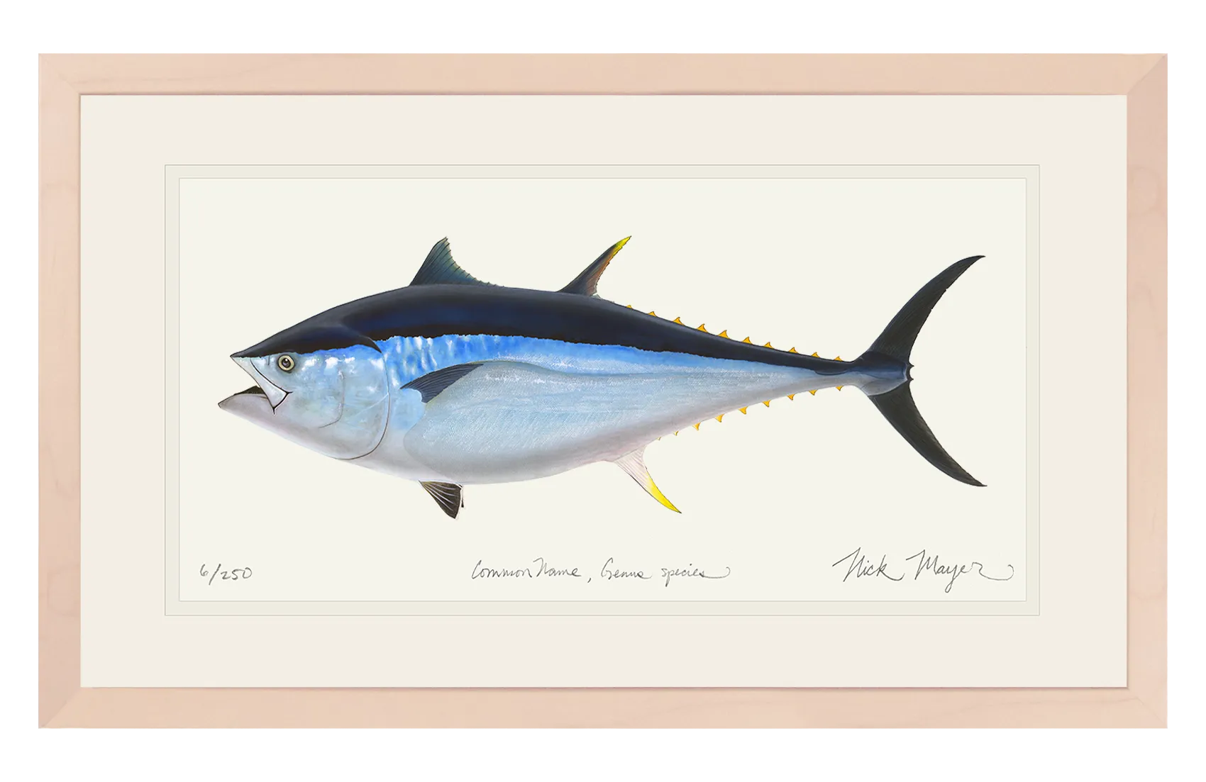 Giant Bluefin Tuna II Print - Best Seller