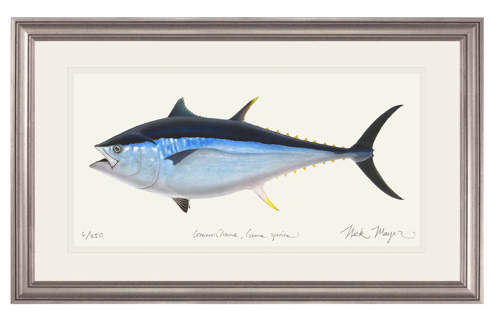 Giant Bluefin Tuna II Print - Best Seller