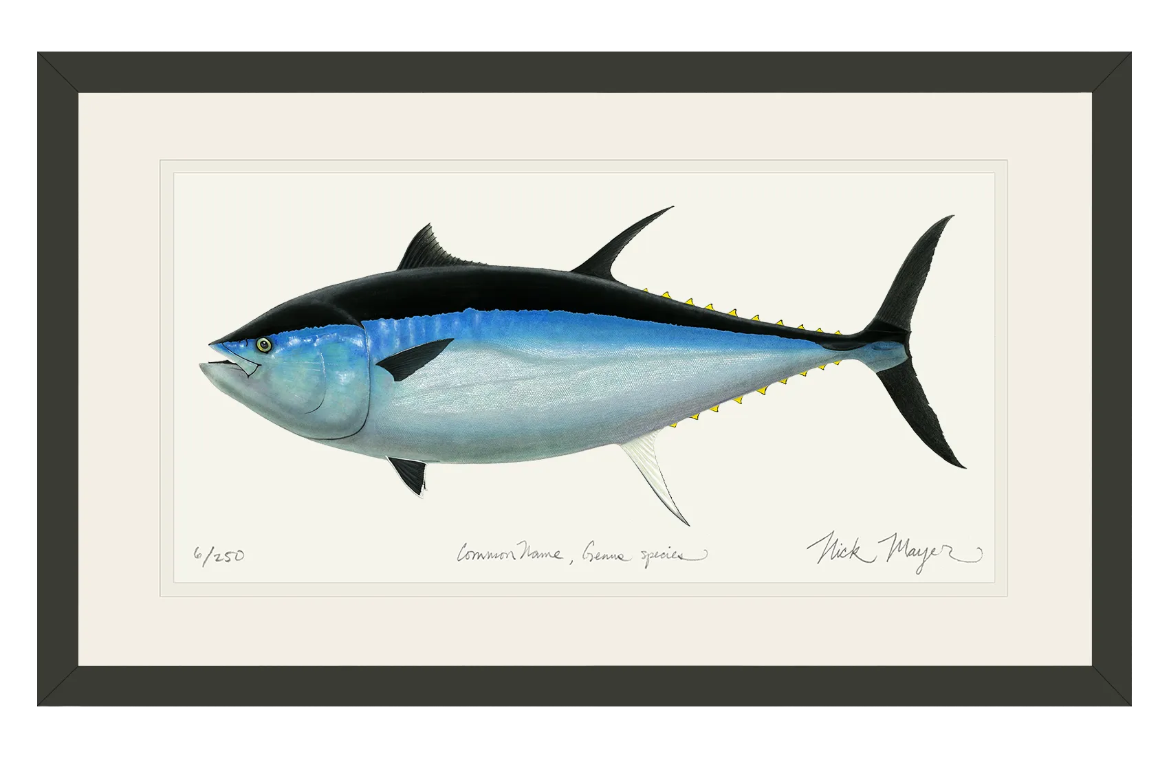 Giant Bluefin Tuna III Print