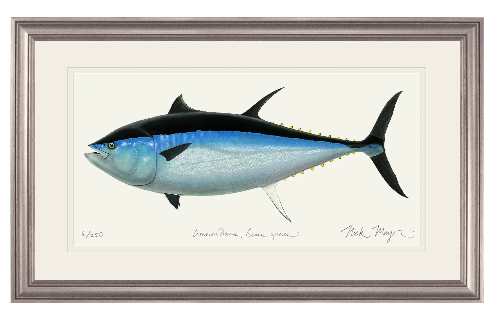 Giant Bluefin Tuna III Print