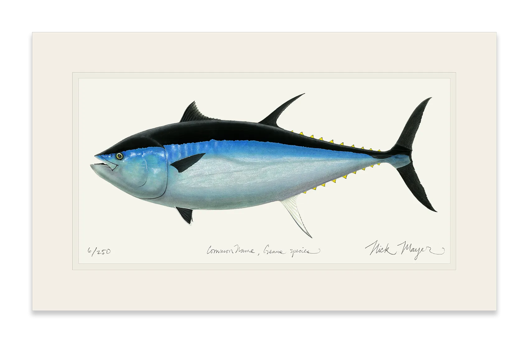 Giant Bluefin Tuna III Print