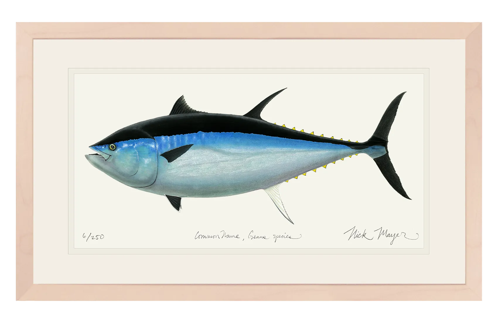 Giant Bluefin Tuna III Print