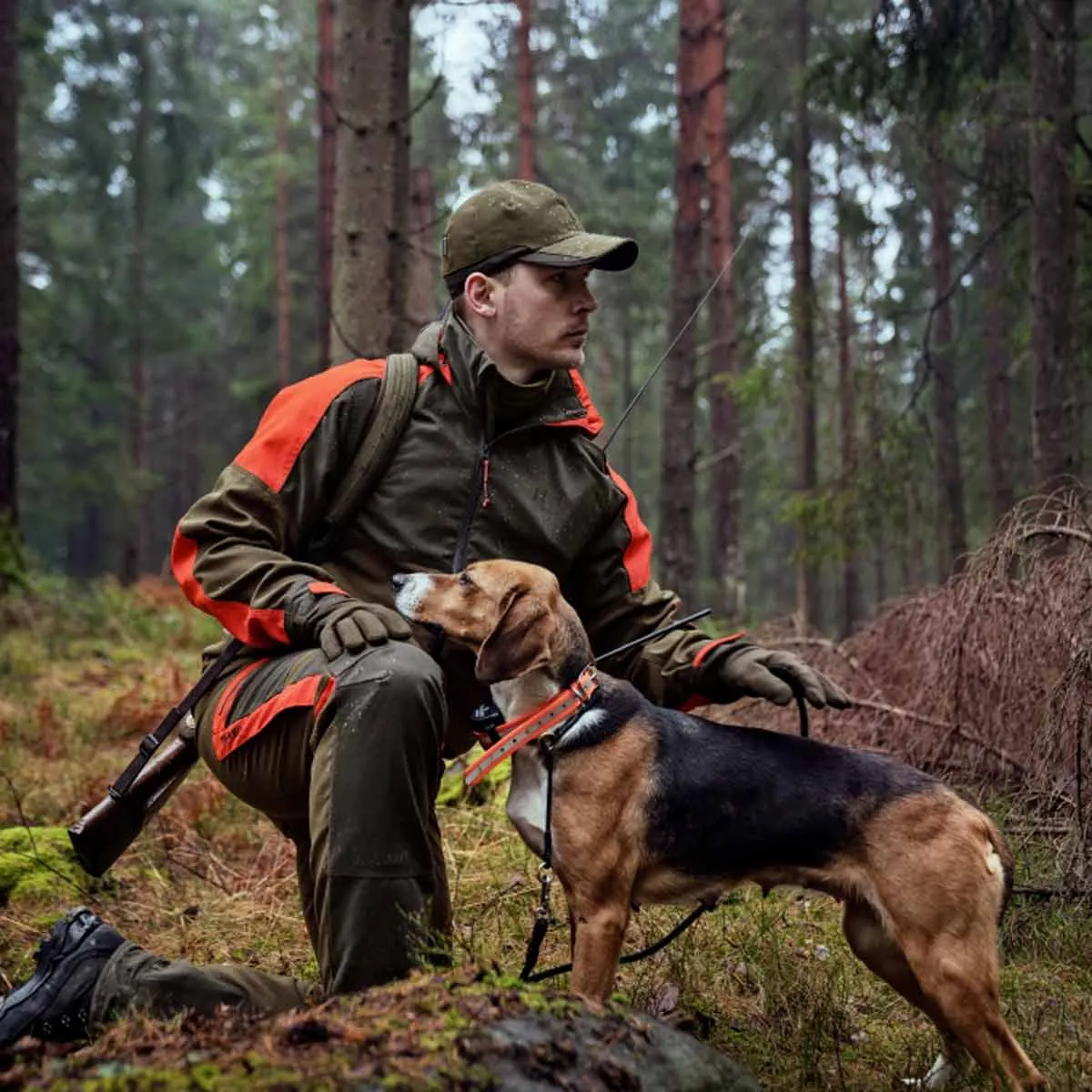 Harkila Pro Hunter Dog Keeper GTX Jacket