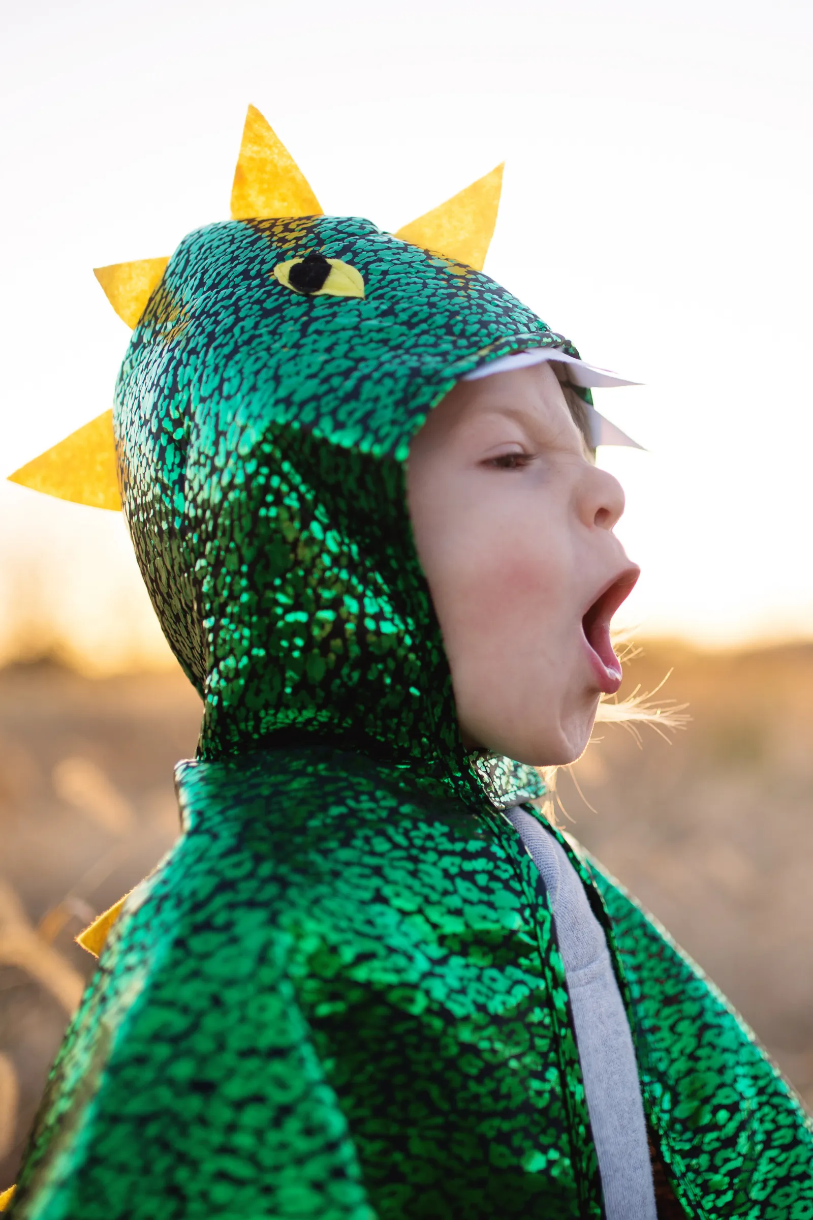 Toddler Dragon Cape Green Metallic